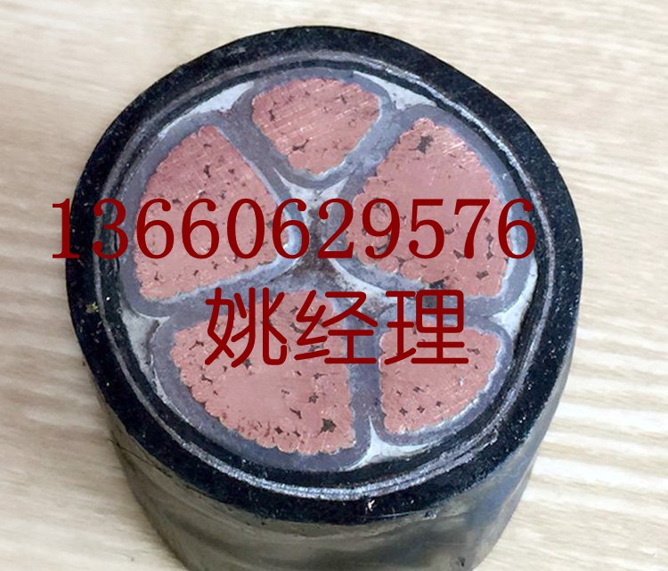 花環(huán)珠江電線電纜